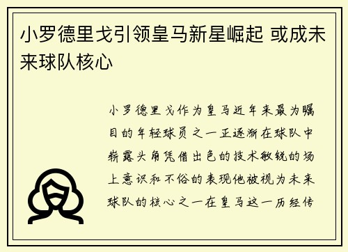 小罗德里戈引领皇马新星崛起 或成未来球队核心